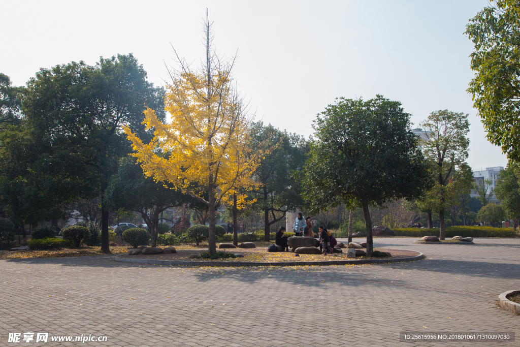 湖南农业大学