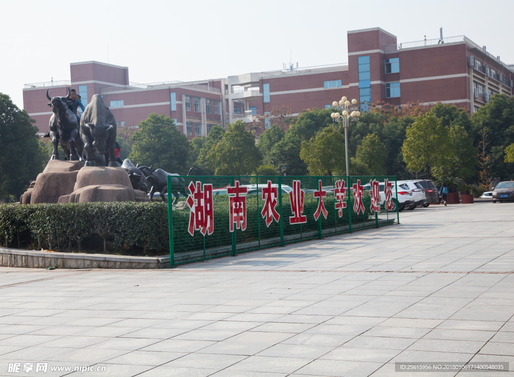 湖南农业大学