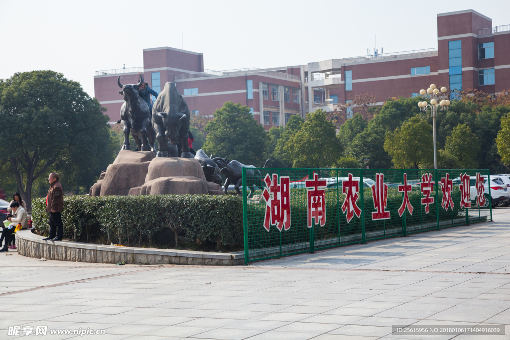 湖南农业大学