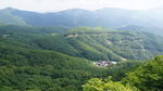 朱雀山腹地
