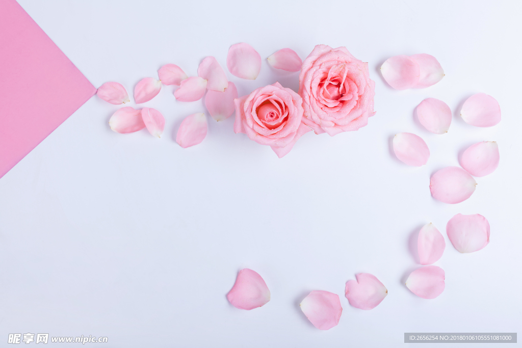 粉色花瓣情人节背景