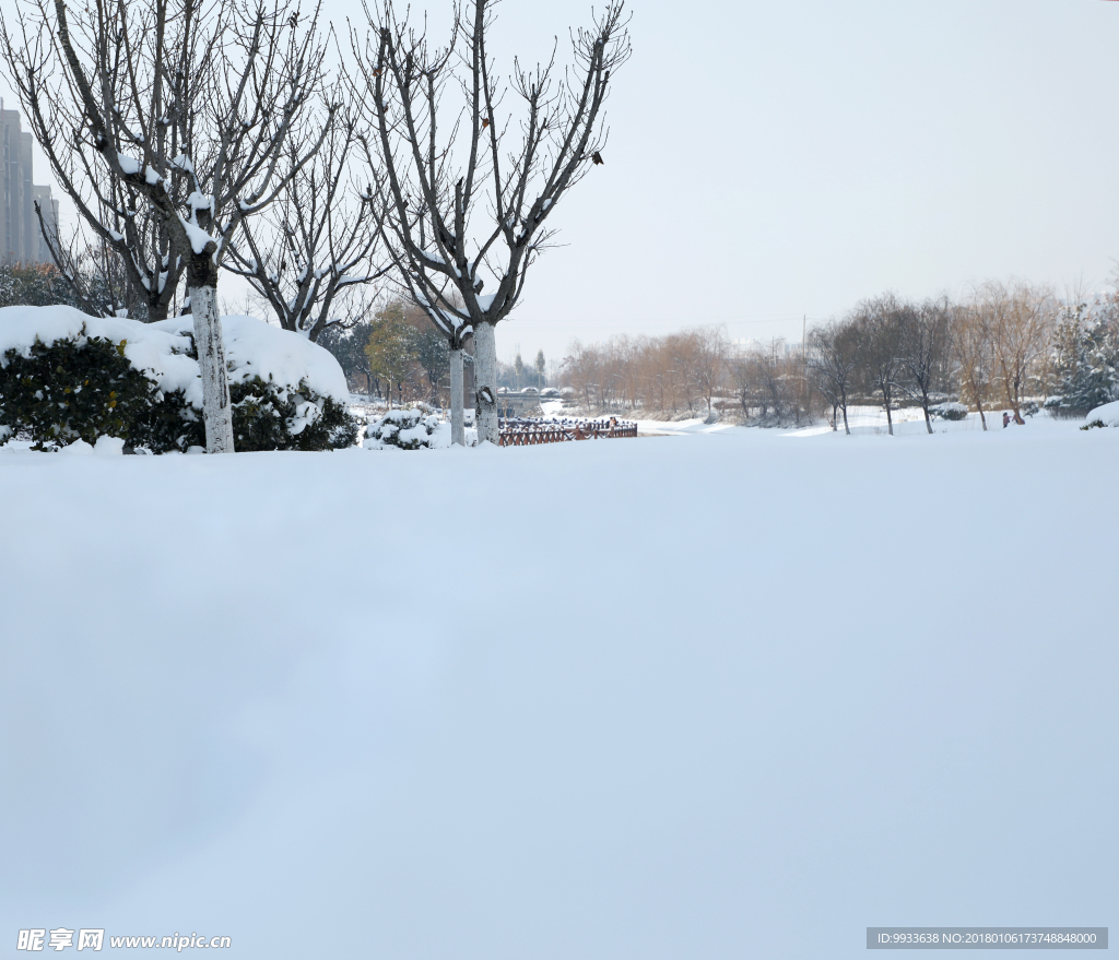 大雪