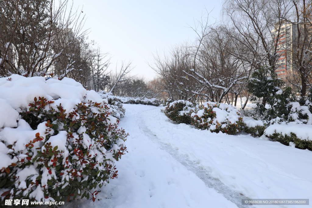 雪景