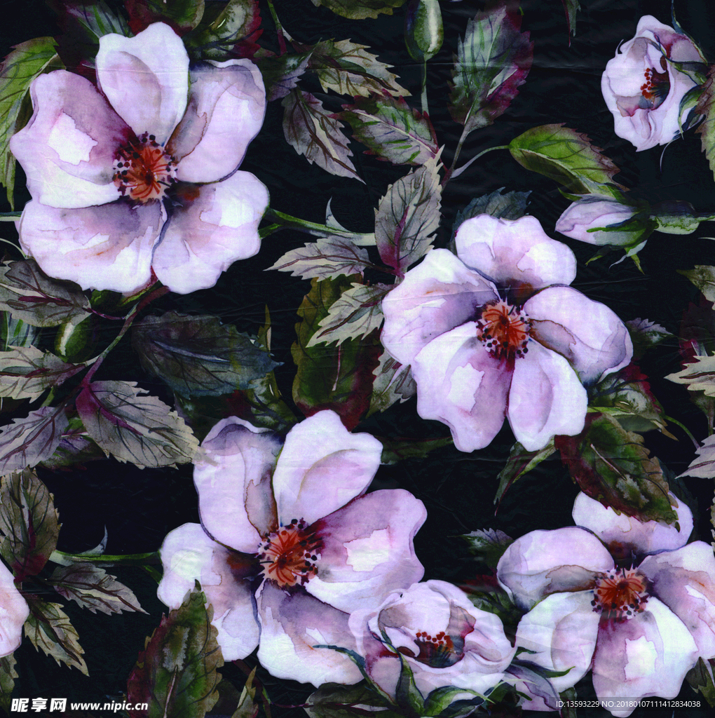 黑底粉花
