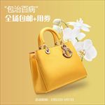 淘宝天猫女包主图直通车