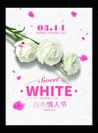 白色情人节海报
