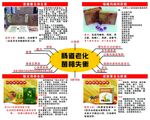养生茶