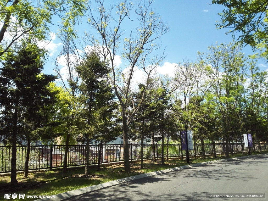 住宅区道路