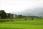 丽江风景