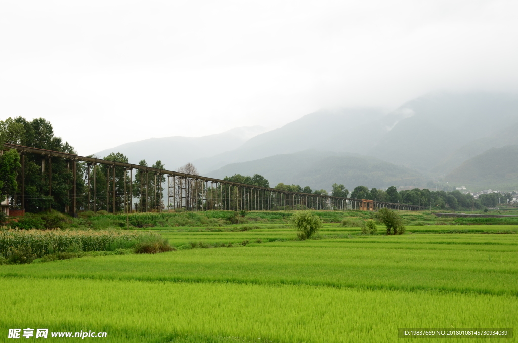 丽江风景