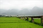 丽江风景