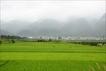 丽江风景