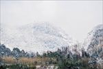 雪景