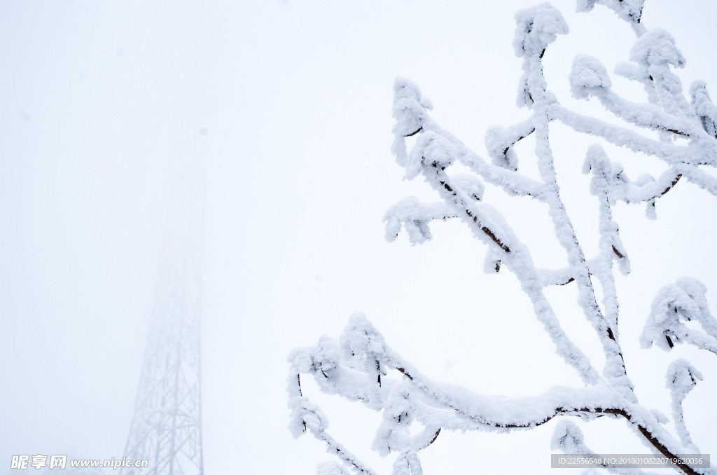 雪景