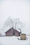 雪景