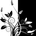 矢量黑白花