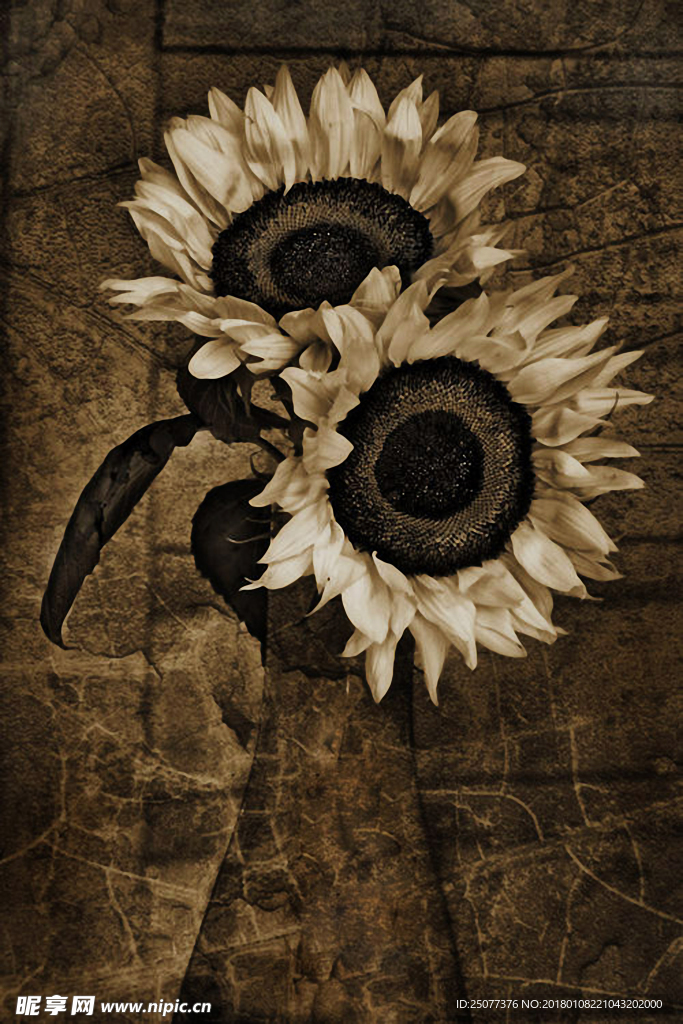 褐色菊花底纹装饰画