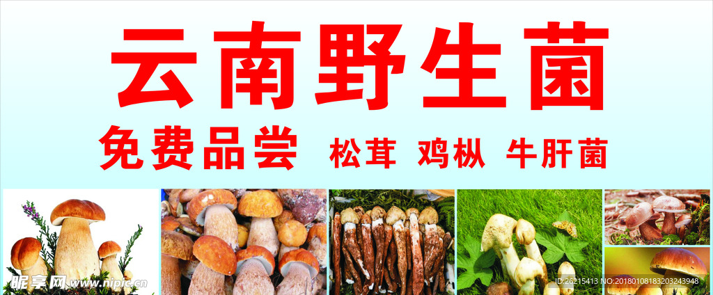 云南野生菌