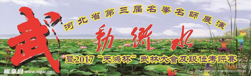 武术展