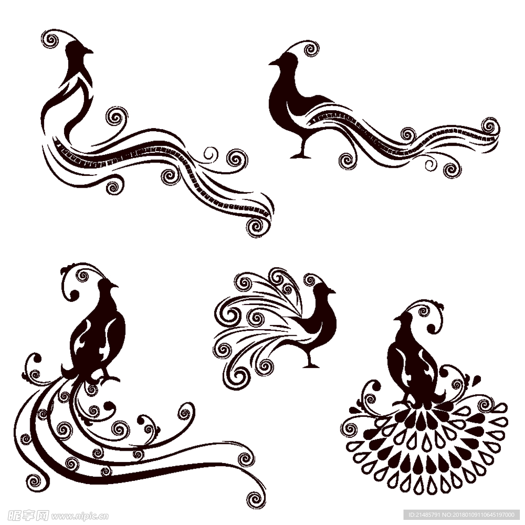 孔雀花纹
