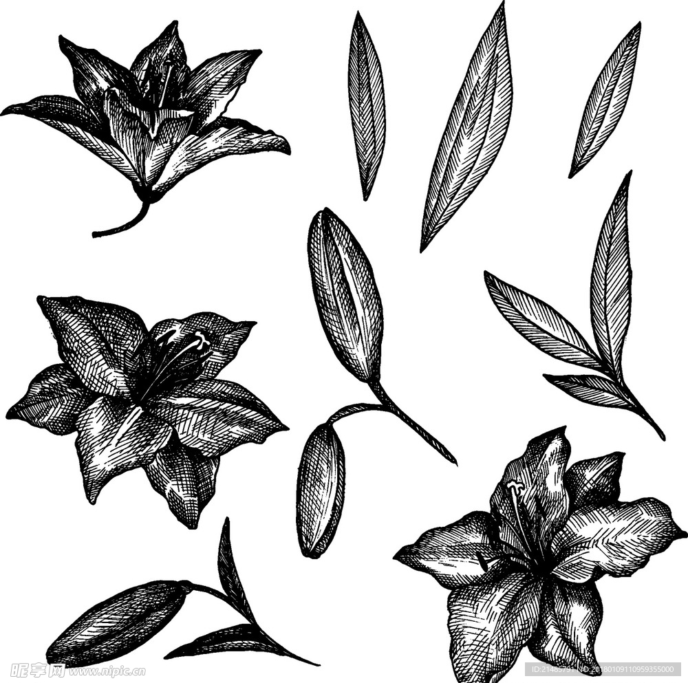 手绘花