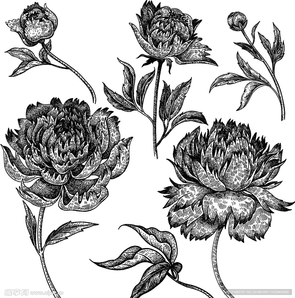 手绘花