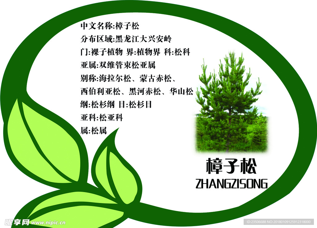 花草牌