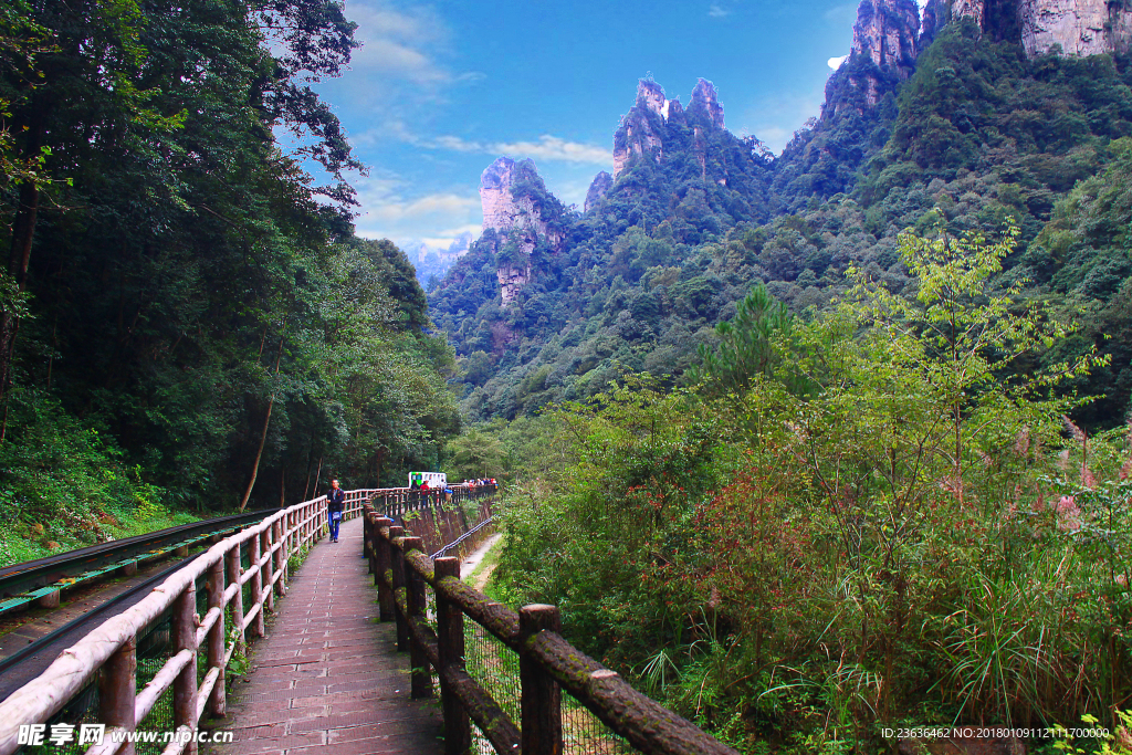 张家界风景 张家界风光