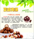 夏威夷果