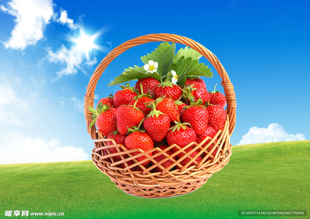 草莓 绿地 天空 分层图