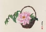 芍药花