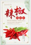 红辣椒素材海报
