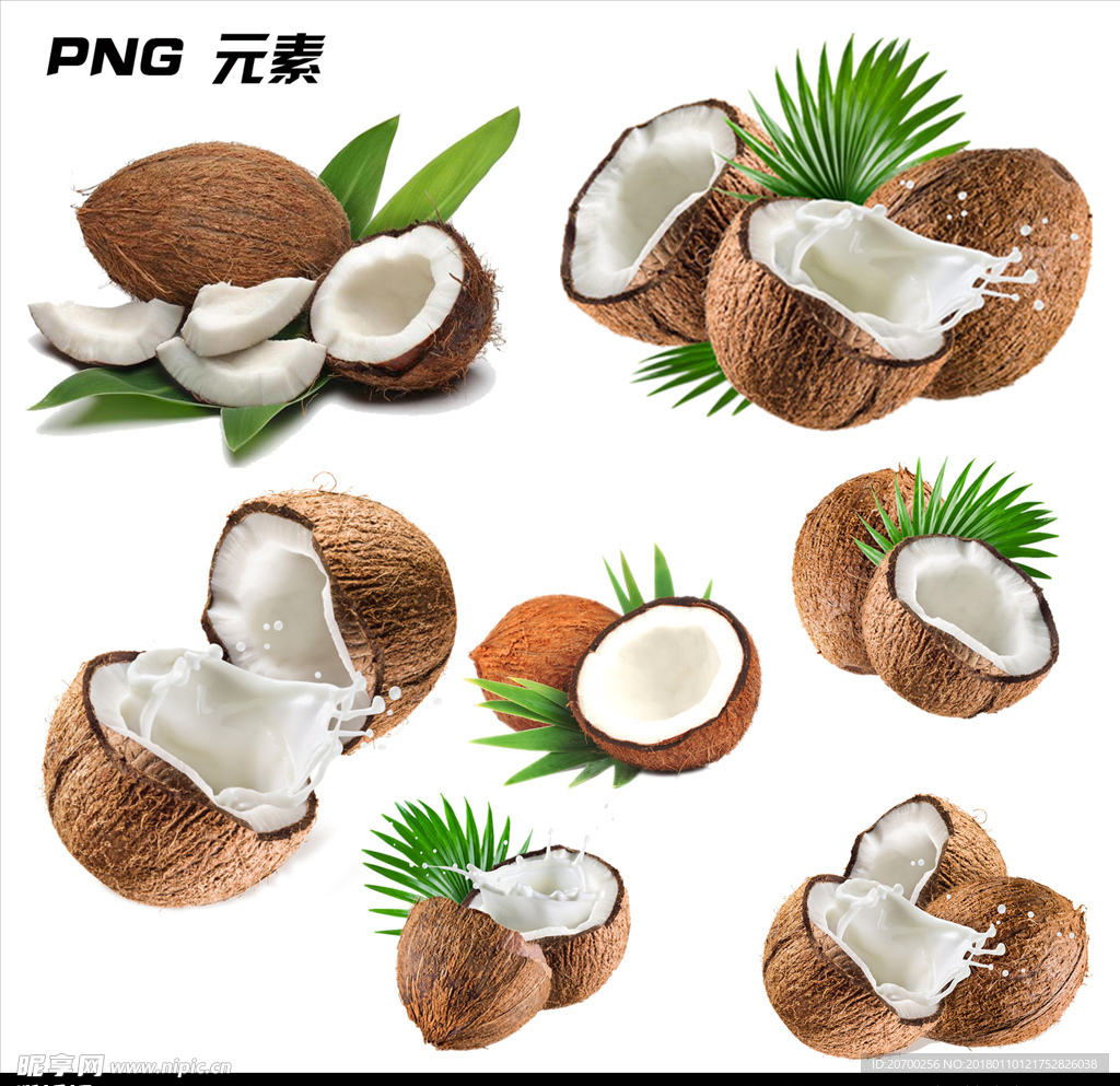 椰子免扣元素