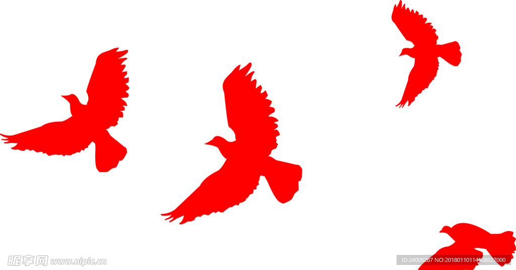 鸽子