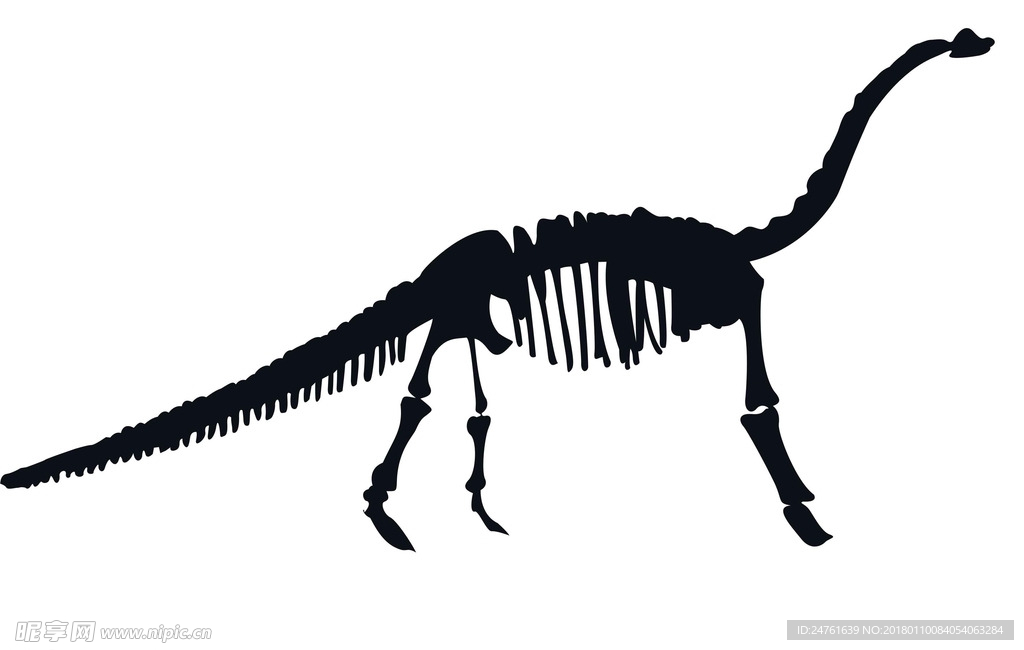 恐龙骨架图案