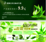 芦荟灌肤