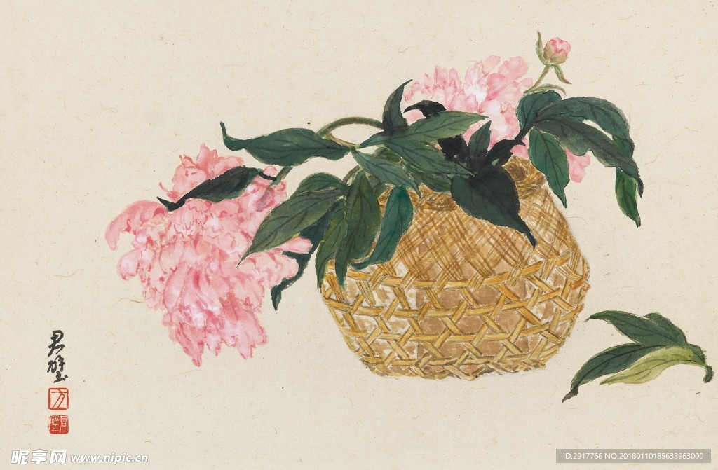 芍药花