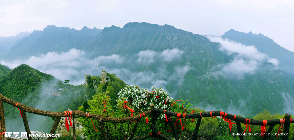 翠华山