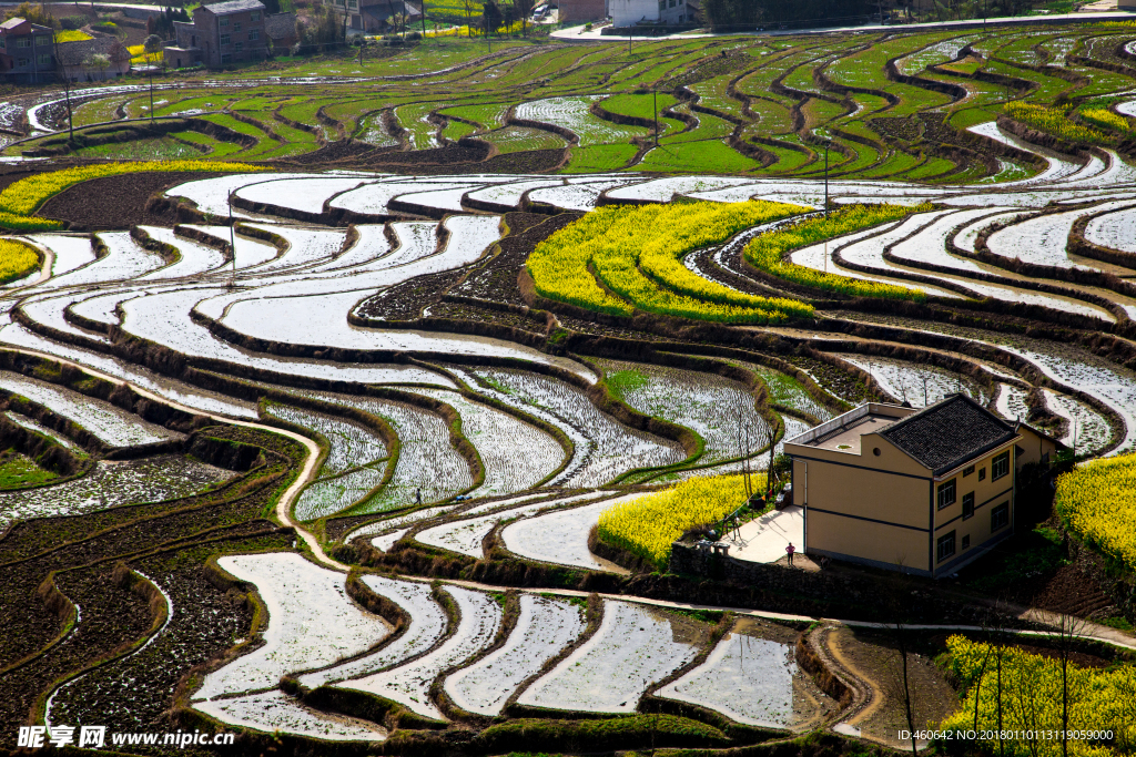 梯田