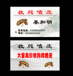 爬蚱名片