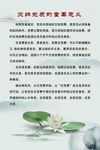 中国风制度