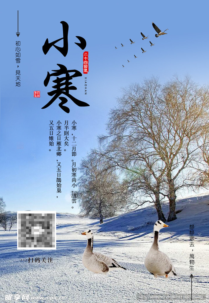 小寒微信海报