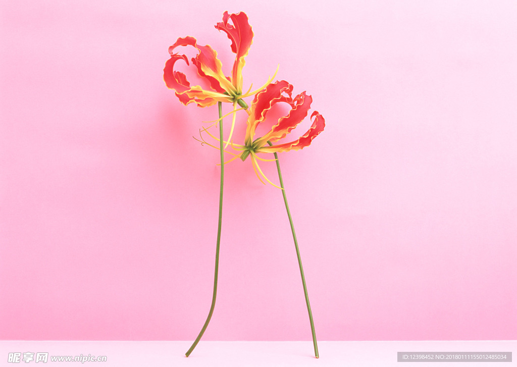 红色鲜花