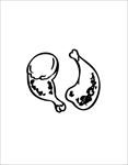 鸡腿