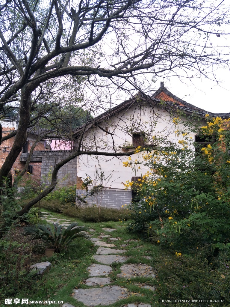 田园风景