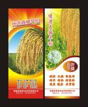 水稻易拉宝