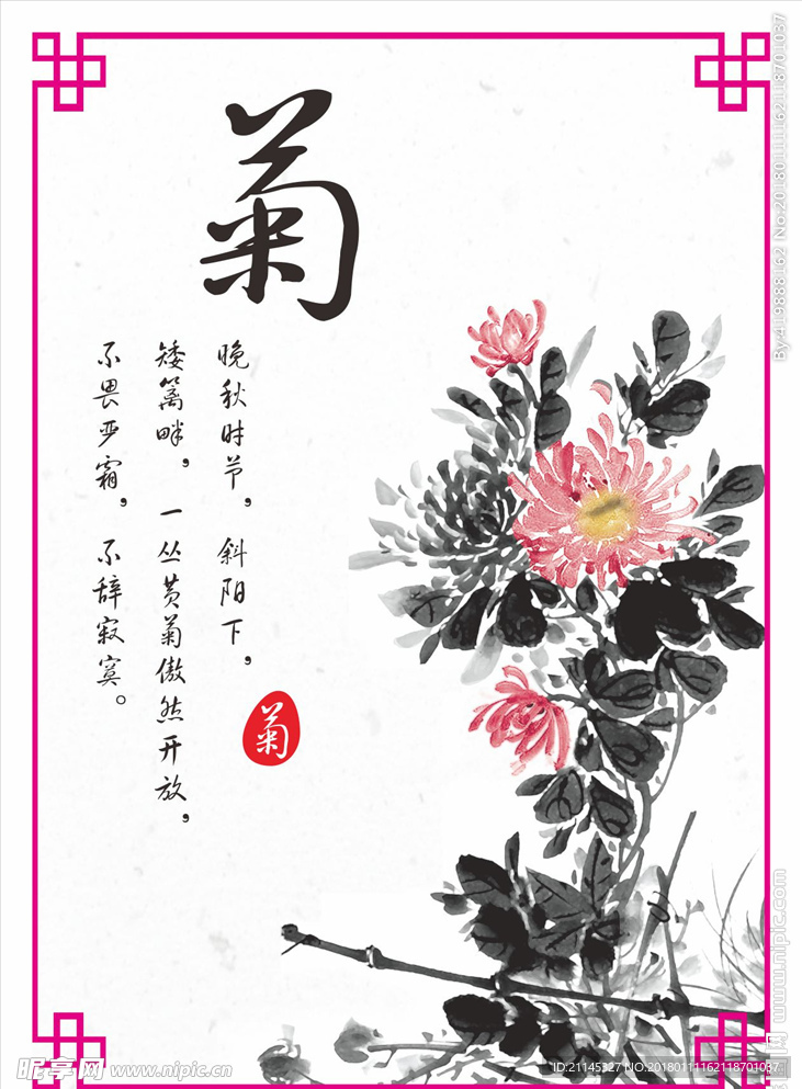 菊花