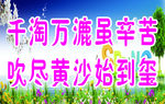 学校标语