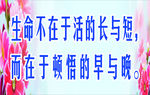 学校标语