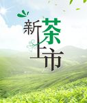 新茶上市